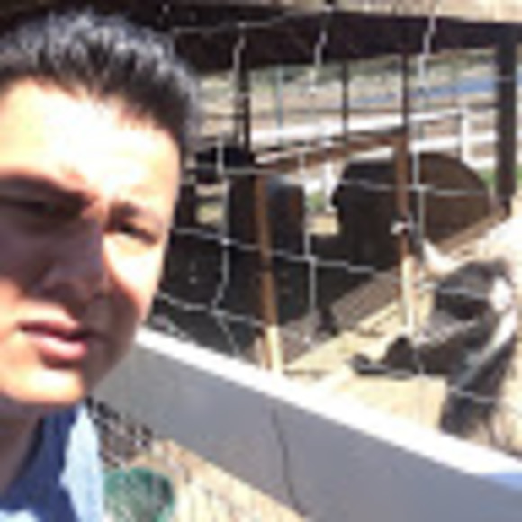 Meet your Posher, Daniel - Picture 1 of 1